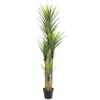 Homplanti Dracaena Artificial Plant