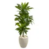 Homplanti Dracaena Artificial Plant In Sand Colored Planter (real Touch) 4'