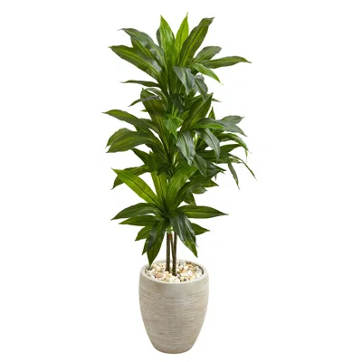 Homplanti Dracaena Artificial Plant In Sand Colored Planter (real Touch) 4'