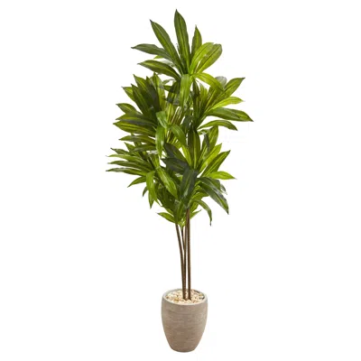 Homplanti Dracaena Artificial Plant In Sand Colored Planter (real Touch) 68" In Green