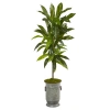 Homplanti Dracaena Artificial Plant In Vintage Metal Planter (real Touch) 4'