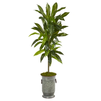 Homplanti Dracaena Artificial Plant In Vintage Metal Planter (real Touch) 4' In Blue