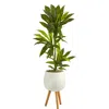 Homplanti Dracaena Artificial Plant In White Planter With Stand (real Touch) 46"