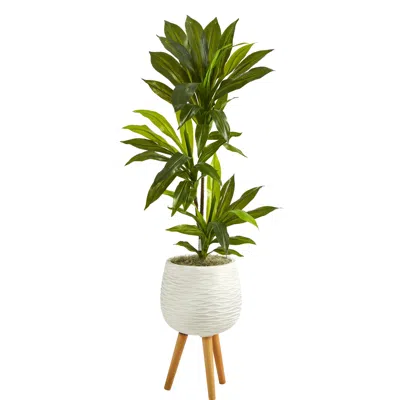 Homplanti Dracaena Artificial Plant In White Planter With Stand (real Touch) 46"