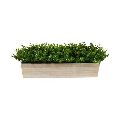 Homplanti Eucalyptus Artificial Plant In Decorative Planter 19"