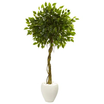 Homplanti Ficus Tree In White Planter Uv Resistant (indoor/outdoor)