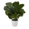 Homplanti Fiddle Leaf Artificial Plant In White Planter (real Touch) 11"