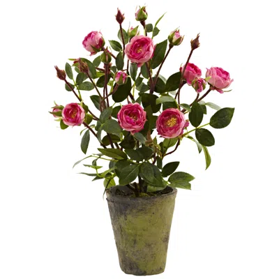 Homplanti French Rose Garden