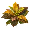 Homplanti Garden Croton Artificial Plant (real Touch) (set Of 4) 21"
