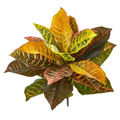 Homplanti Garden Croton Artificial Plant (real Touch) (set Of 4) 21" In Gold