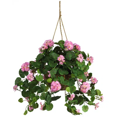 Homplanti Geranium Hanging Basket - Pink