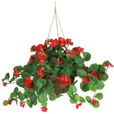 Homplanti Geranium Hanging Basket - Red