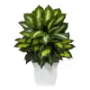 Homplanti Golden Dieffenbachia Artificial Plant In White Metal Planter 2"