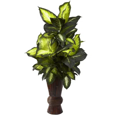 Homplanti Golden Dieffenbachia W/bamboo Planter In Brown