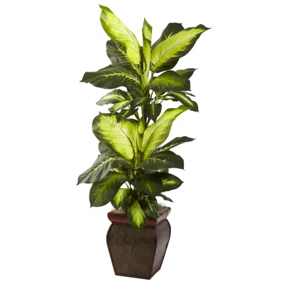 Homplanti Golden Dieffenbachia W/decorative Planter