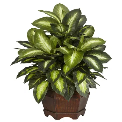 Homplanti Golden Dieffenbachia W/large Hexagon