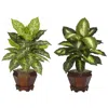 Homplanti Golden Dieffenbachia W/wood Vase Silk Plant - Assorted