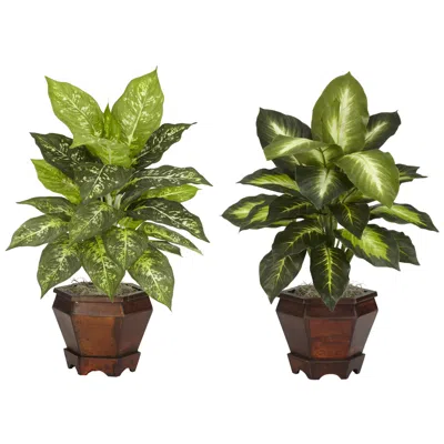 Homplanti Golden Dieffenbachia W/wood Vase Silk Plant - Assorted In Green