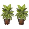 Homplanti Golden Dieffenbachia W/wood Vase Silk Plant Variegated