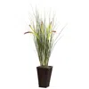 Homplanti Grass W/cattails & Bamboo Planter
