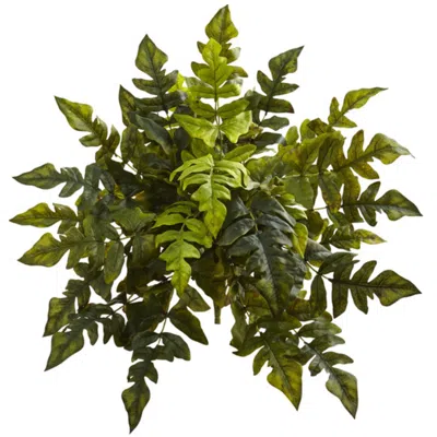 Homplanti Holly Fern Artificial Plant (set Of 2) 24"
