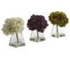 Homplanti Hydrangea W/vase (set Of 3)