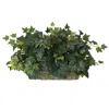 Homplanti Ivy Ledge Plant (set On Foam) Silk Plant