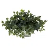 Homplanti Ivy W/white Wash Planter Silk Plant