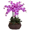 Homplanti Large Phalaenopsis Silk Flower Arrangement
