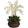 Homplanti Large Phalaenopsis Silk Flower Arrangement