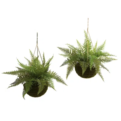 Homplanti Leather Fern W/hanging Basket (indoor/outdoor) (set Of 2)