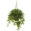 Homplanti London Ivy Artificial Plant In Hanging Basket (real Touch) 38"