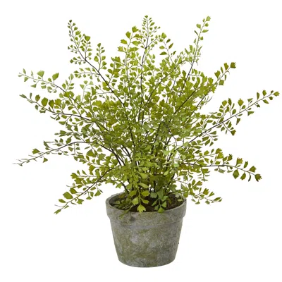 Homplanti Maiden Hair Artificial Plant In Decorative Planter