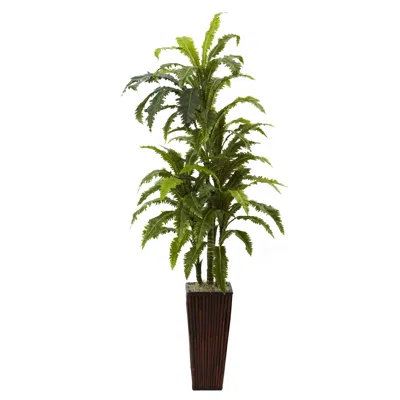 Homplanti Margarintum W/bamboo Planter