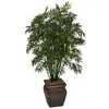 Homplanti Mini Bamboo Palm W/decorative Vase