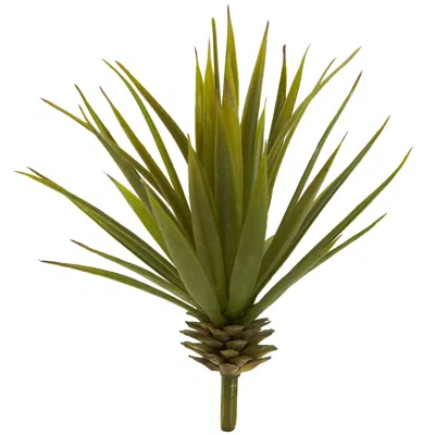 Homplanti Mini Spiky Agave Succulent Plant (set Of 12)