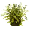 Homplanti Mixed Fern W/twig And Moss Basket