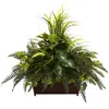 Homplanti Mixed Grass & River Fern W/wood Planter