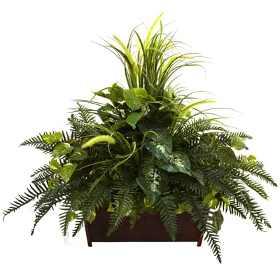 Homplanti Mixed Grass & River Fern W/wood Planter