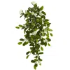 Homplanti Mixed Stephanotis & Ivy Hanging Artificial Plant (set Of 4) 19"