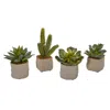 Homplanti Mixed Succulent Artificial Plant (set Of 4)