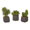 Homplanti Mixed Succulent Trio Artificial Plant (set Of 3)