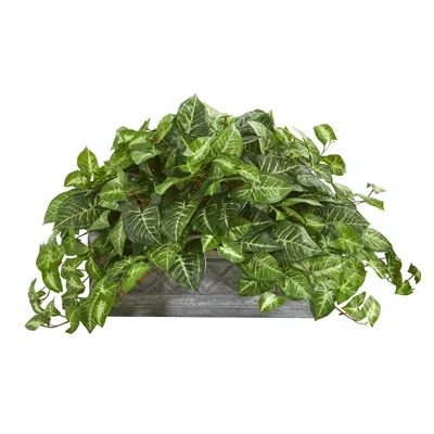 Homplanti Nepthytis Artificial Plant In Stone Planter In Brown