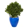 Homplanti Peperomia Artificial Plant In Blue Planter Uv Resistant (indoor/outdoor) 32"