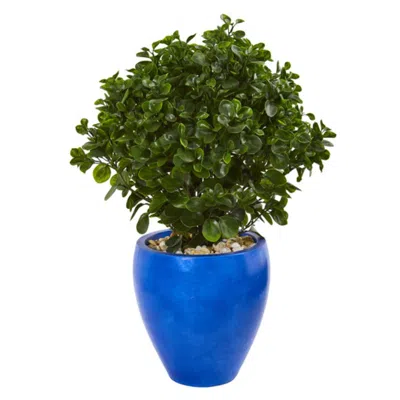 Homplanti Peperomia Artificial Plant In Blue Planter Uv Resistant (indoor/outdoor) 32" In Green
