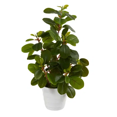Homplanti Peperomia Artificial Plant In Decorative Planter 16" In Green