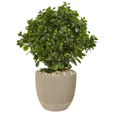 Homplanti Peperomia Artificial Plant In Sand Stone Planter Uv Resistant (indoor/outdoor) 30" In Neutral