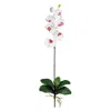 Homplanti Phalaenopsis Stem (set Of 12) - White