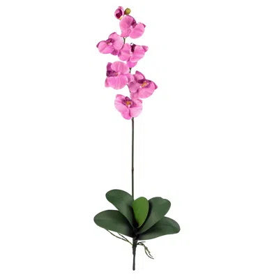 Homplanti Phalaenopsis Stem (set Of 6) - Yellow In Pink