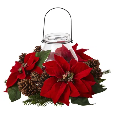 Homplanti Poinsettia/pine